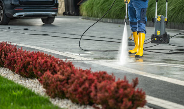 Best Gutter Cleaning  in Combes, TX